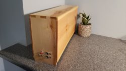 wooden box on table with small cactus beside it. Box is the size of a small suitcase, with 2 x 1/4 inch jacks, and three toggle switches